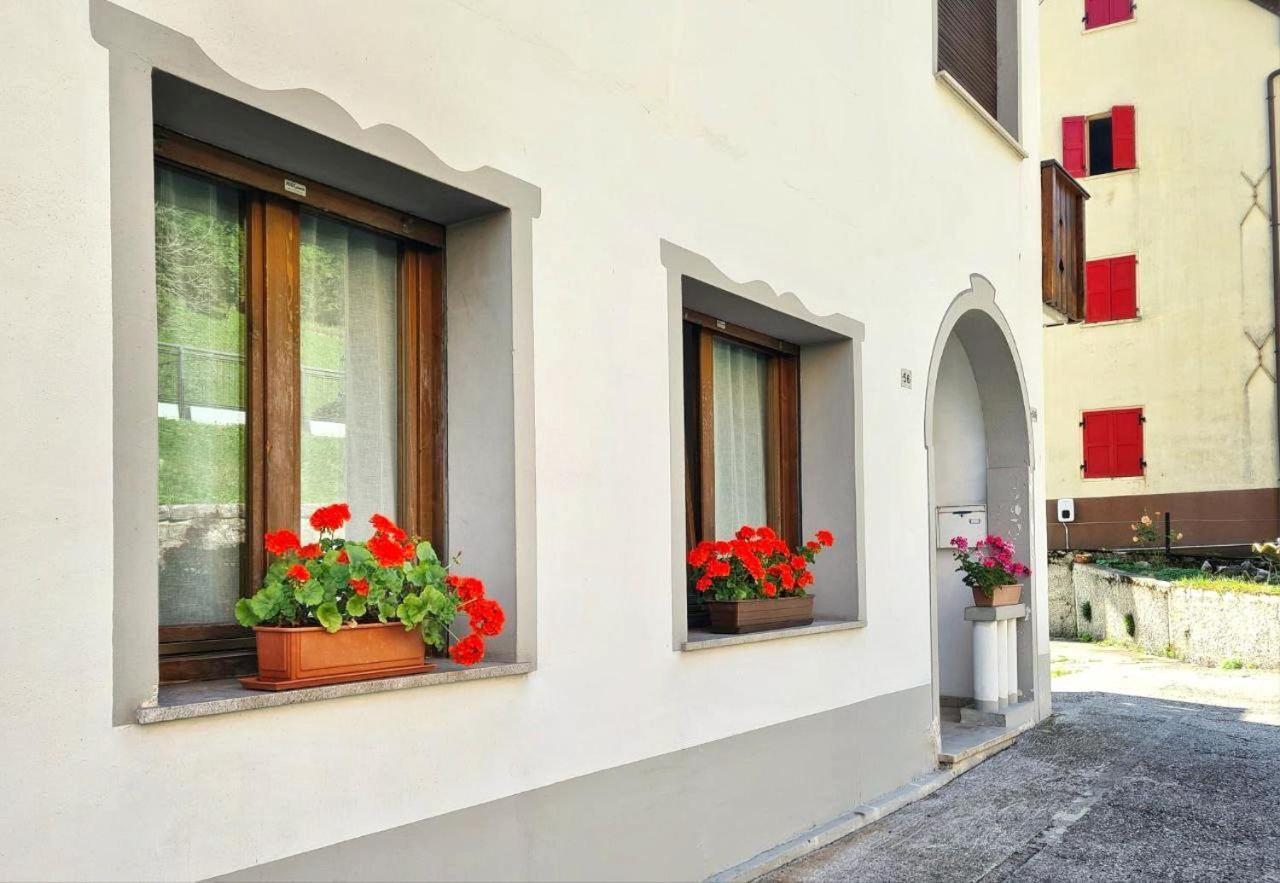 Appartamento Jever House Rigolato Zewnętrze zdjęcie
